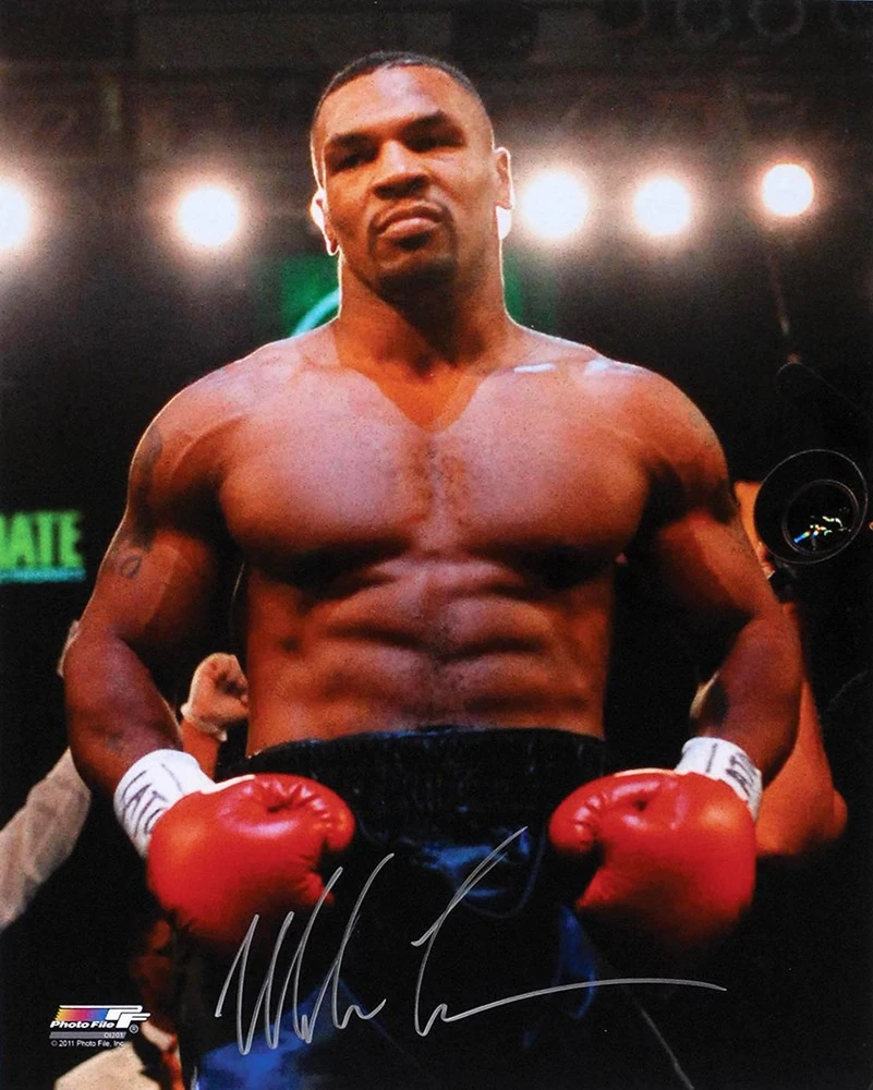 Heavyweight Boxers